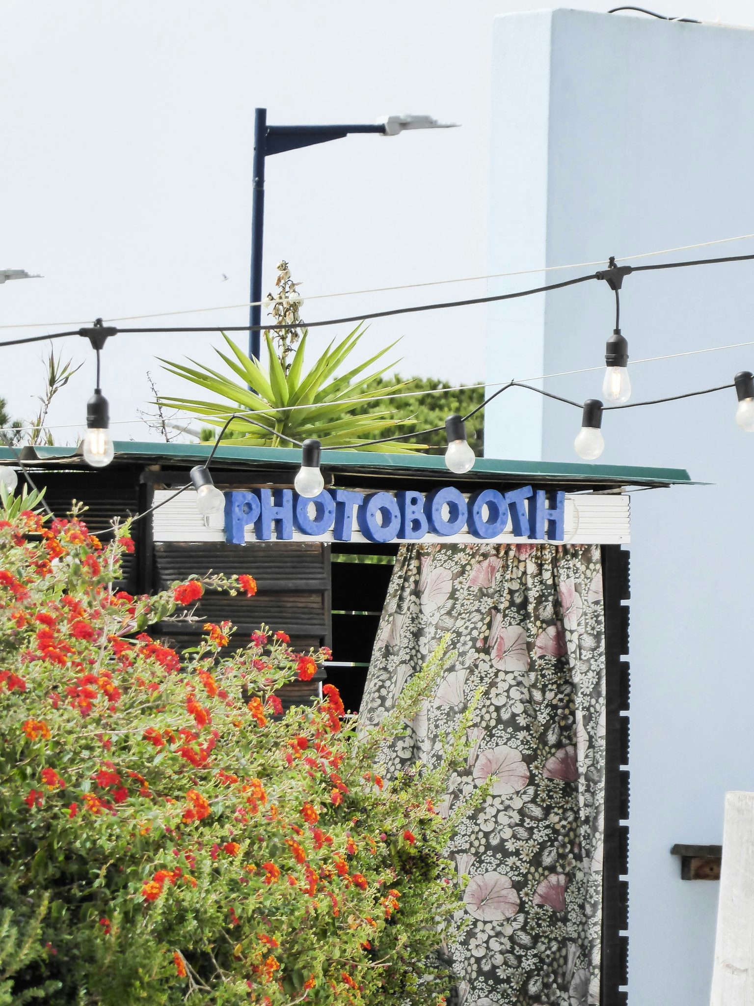 Elevate Your Event with Wellington’s Premier Photo Booth Experience